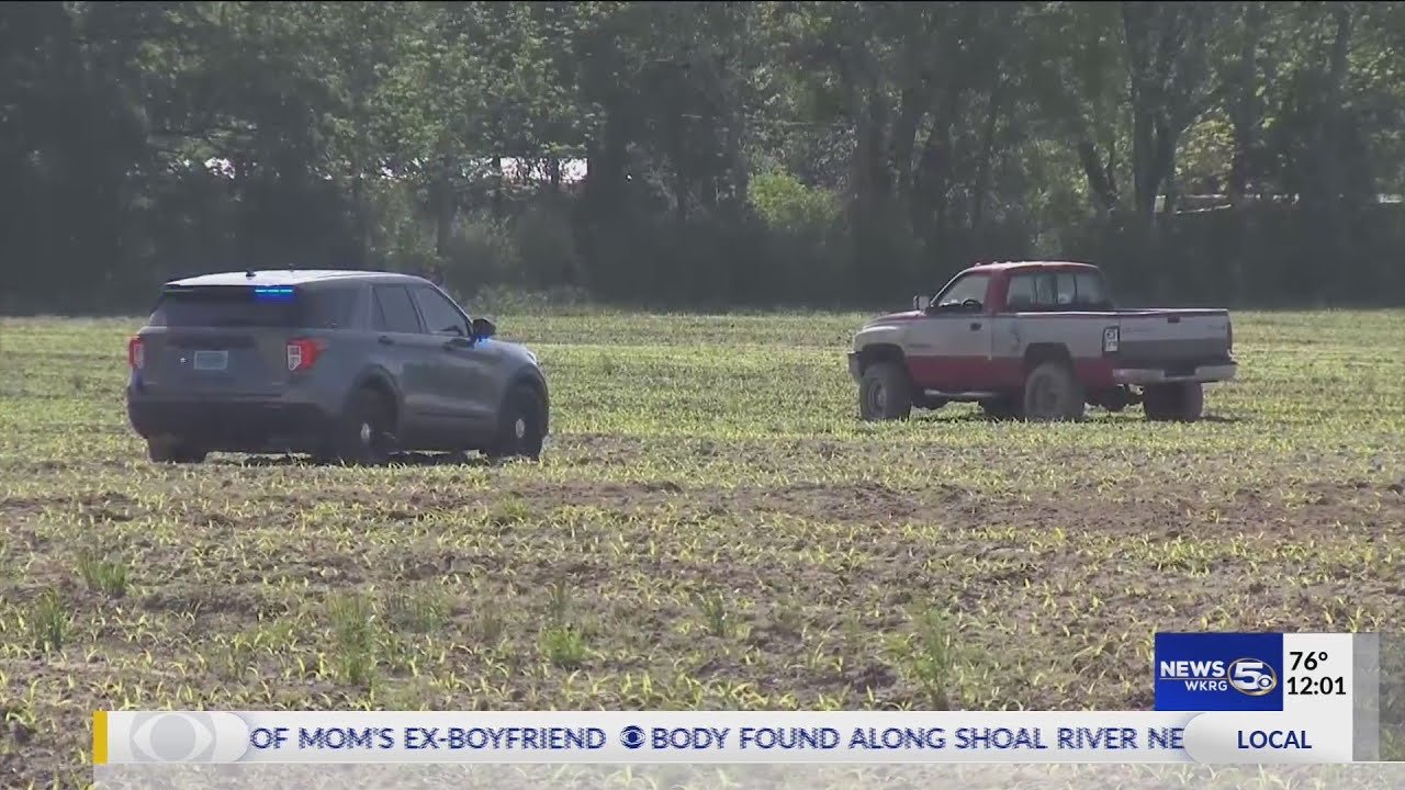 Domestic violence suspect leads deputies on 6 mile chase in Baldwin