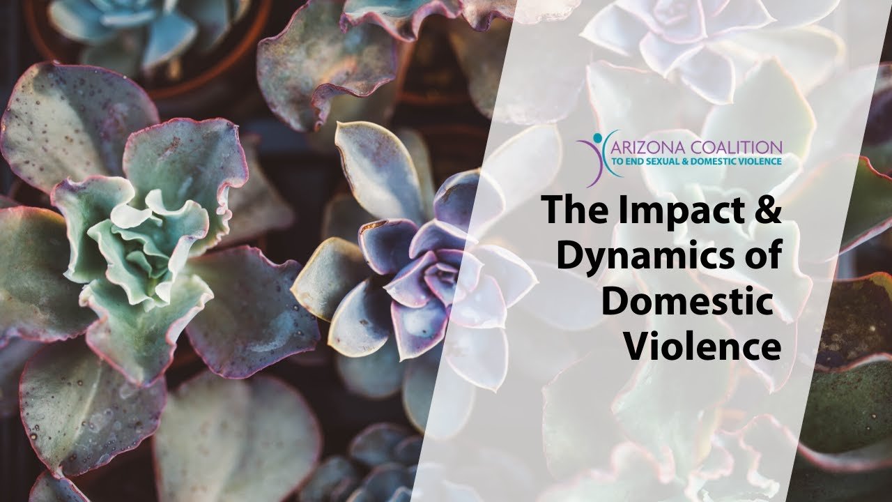 Impact amp Dynamics of Domestic Violence
