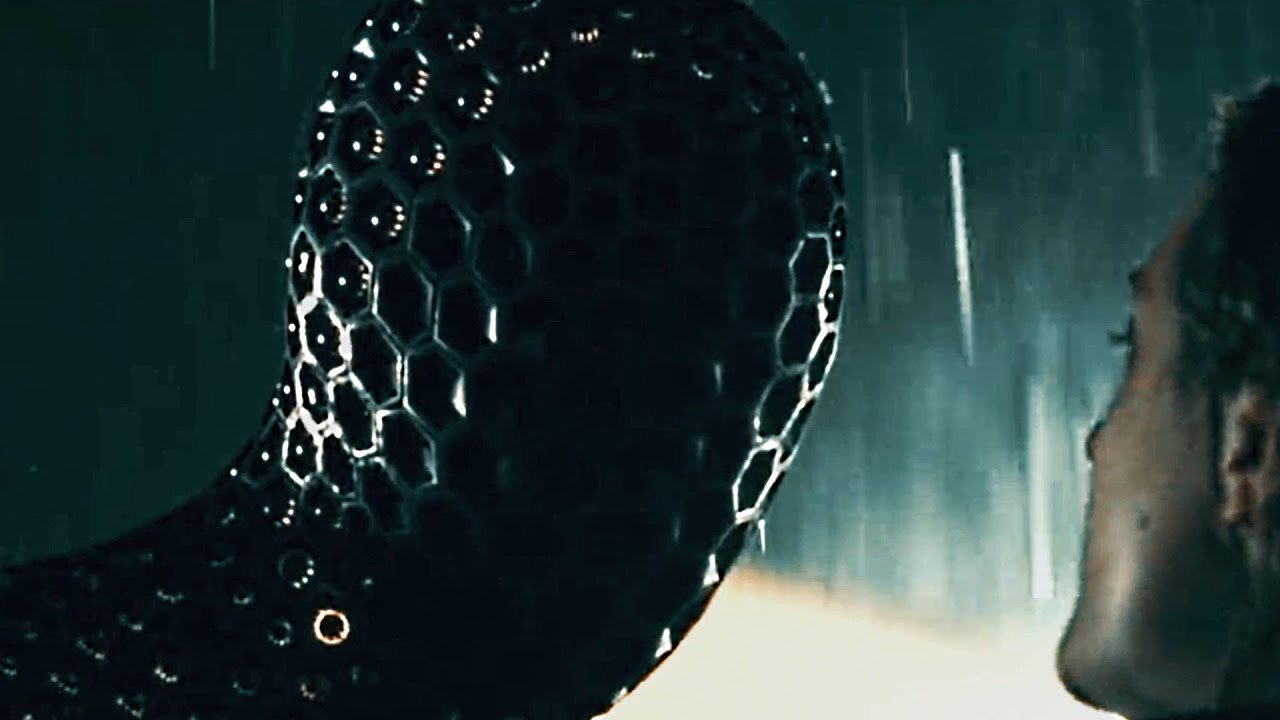 An abusive husband found a way to be invisible and