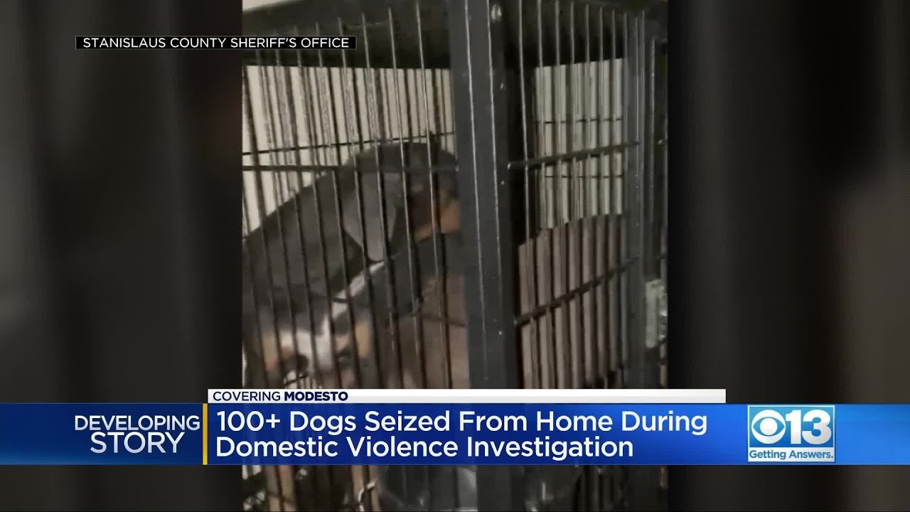 Investigation Into Stanislaus County Domestic Violence Case Leads To Discovery