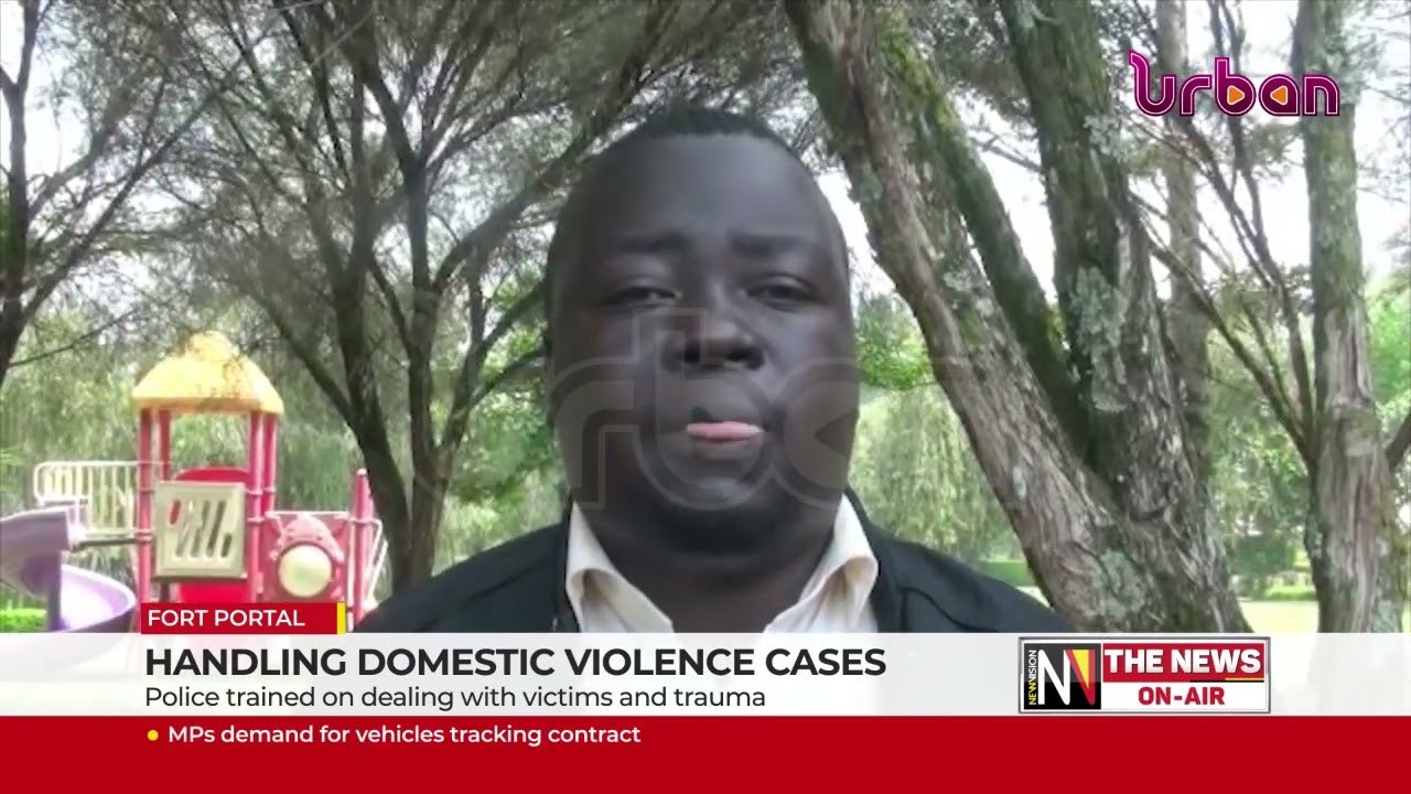 Handling domestic violence cases