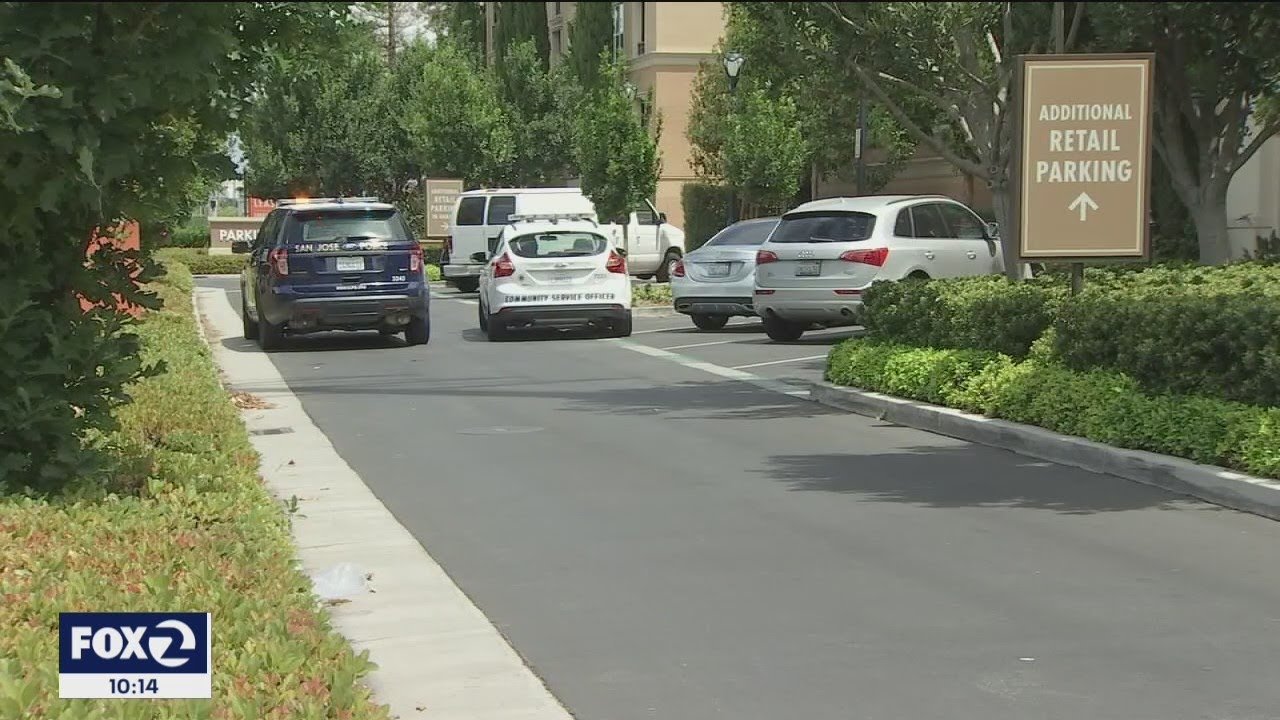 San Jose police say bystander killed in domestic violence murder suicide
