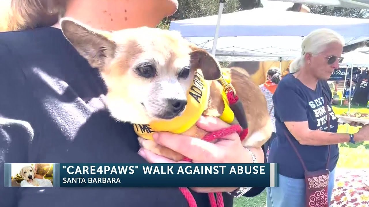 Animal lovers stand up to animal cruelty and domestic violence