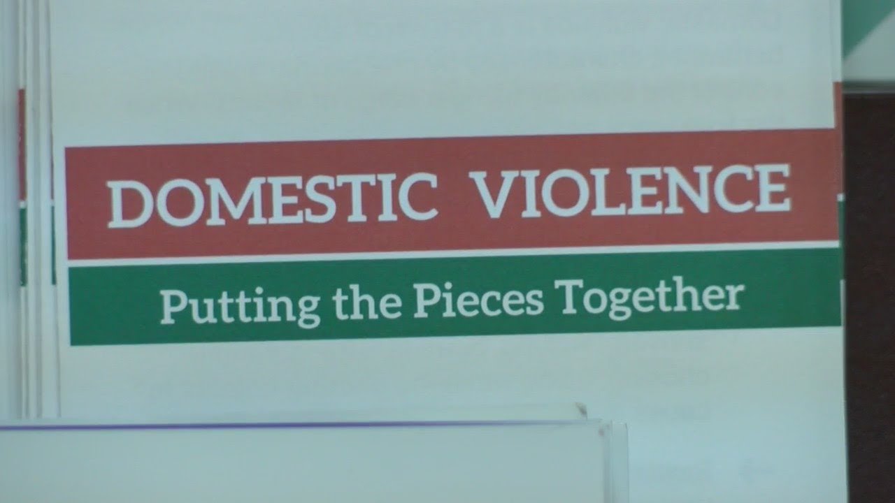 Domestic Violence in Louisiana