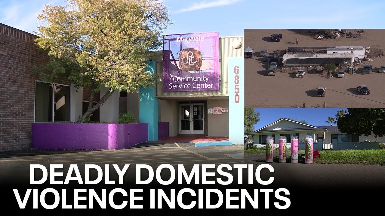 Domestic violence shelter official talks about recent incidents