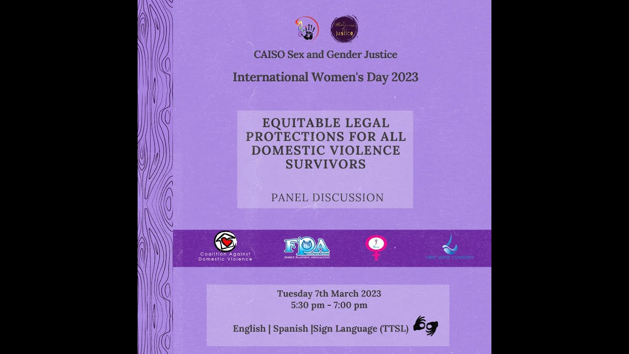 Equitable Legal Protections for all Domestic Violence SurvivorsVirtual Panel Discussion