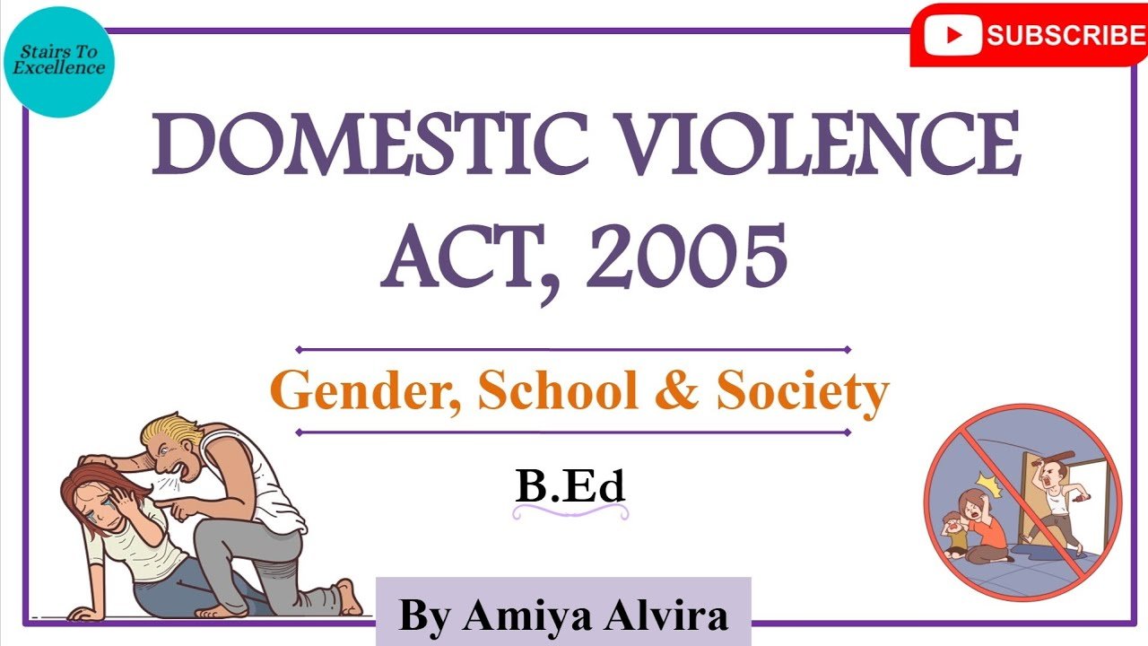Domestic Violence Act 2005 Gender School and Society