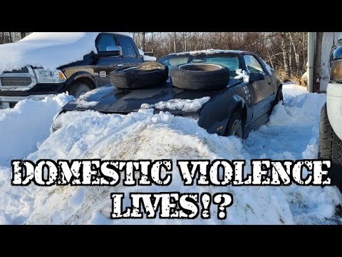 Domestic Violence Rears Her Ugly Head